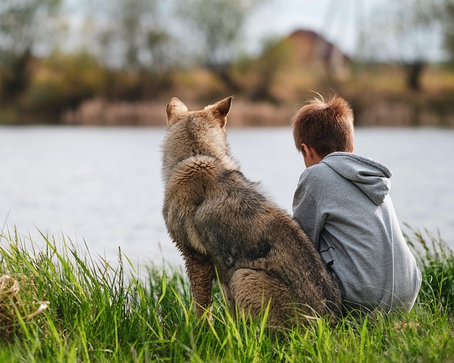 Garçon et son chien, assis sur le gazon, admirent la vue